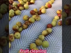 Cepillo de rodillos de nylon personalizado con / sin eje para la máquina industrial de pelado de papas